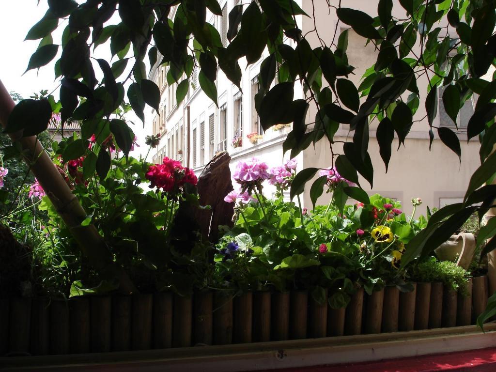 Chambres Les Soyeuses Lyon Exterior foto